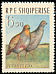 Grey Partridge Perdix perdix  1963 Birds 