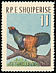 Western Capercaillie Tetrao urogallus  1963 Birds 