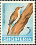 Eurasian Treecreeper Certhia familiaris  1964 Albanian birds 