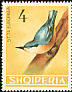 Eurasian Nuthatch Sitta europaea  1964 Albanian birds 