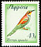 European Bee-eater Merops apiaster  1965 Migratory birds 