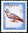 European Nightjar Caprimulgus europaeus  1965 Migratory birds 