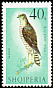 Eurasian Sparrowhawk Accipiter nisus  1966 Birds of prey 