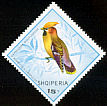 Bohemian Waxwing Bombycilla garrulus  1968 Birds 