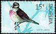 Common Linnet Linaria cannabina  1971 Birds 