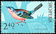 Common Chaffinch Fringilla coelebs  1971 Birds 