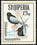 White-winged Tern Chlidonias leucopterus  1973 Sea birds 