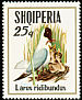 Black-headed Gull Chroicocephalus ridibundus  1973 Sea birds 