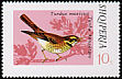 Redwing Turdus iliacus  1974 Song birds 