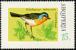 European Robin Erithacus rubecula  1974 Song birds 