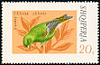 European Greenfinch Chloris chloris  1974 Song birds 
