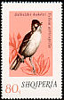 Eurasian Blackcap Sylvia atricapilla  1974 Song birds 