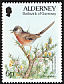 Dartford Warbler Curruca undata  1994 Flora and fauna 