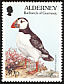 Atlantic Puffin Fratercula arctica