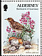 European Rock Pipit Anthus petrosus  1997 Flora and fauna Booklet