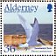 Sandwich Tern Thalasseus sandvicensis  2003 Migrating birds Sheet