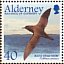 Sooty Shearwater Ardenna grisea  2003 Migrating birds Sheet