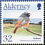 Common Redstart Phoenicurus phoenicurus