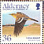 Western Yellow Wagtail Motacilla flava  2004 Migrating birds Sheet