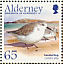 Sanderling Calidris alba  2005 Migrating birds Sheet