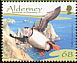 Atlantic Puffin Fratercula arctica  2006 Resident birds 