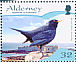 Common Blackbird Turdus merula  2007 Resident passerines Prestige booklet
