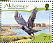 Western Jackdaw Coloeus monedula  2007 Resident passerines Prestige booklet