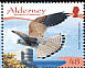 Common Kestrel Falco tinnunculus  2008 Resident raptors 