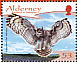 Long-eared Owl Asio otus  2008 Resident raptors Prestige booklet