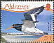 Eurasian Oystercatcher Haematopus ostralegus  2009 Resident waders 