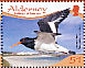 Eurasian Oystercatcher Haematopus ostralegus  2009 Resident waders Prestige booklet