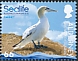 Northern Gannet Morus bassanus  2020 Sealife 6v set