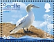 Northern Gannet Morus bassanus  2020 Sealife 6v sheet