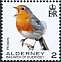 European Robin Erithacus rubecula  2020 Birds definitives 