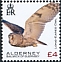 Long-eared Owl Asio otus  2020 Birds definitives 