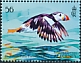 Atlantic Puffin Fratercula arctica  2023 The Atlantic Puffin 