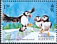 Atlantic Puffin Fratercula arctica  2023 The Atlantic Puffin 