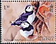 Atlantic Puffin Fratercula arctica  2023 The Atlantic Puffin 