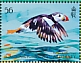 Atlantic Puffin Fratercula arctica  2023 The Atlantic Puffin Sheet