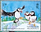 Atlantic Puffin Fratercula arctica  2023 The Atlantic Puffin Sheet