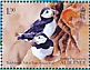 Atlantic Puffin Fratercula arctica  2023 The Atlantic Puffin Sheet