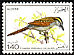 Black-crowned Tchagra Tchagra senegalus  1976 Algerian birds 