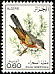 Tristram's Warbler Curruca deserticola  1977 Algerian birds 