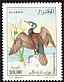 Great Cormorant Phalacrocorax carbo  1998 Birds 