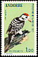 Lesser Spotted Woodpecker Dryobates minor  1973 Nature protection 
