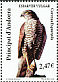 Eurasian Sparrowhawk Accipiter nisus  2009 Birds 