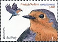 European Robin Erithacus rubecula  2019 Europa 