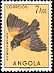 Fan-tailed Widowbird Euplectes axillaris  1951 Birds 