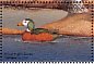 African Pygmy Goose Nettapus auritus  1996 Angolan fauna 12v sheet