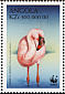 Lesser Flamingo Phoeniconaias minor  1999 WWF Strip